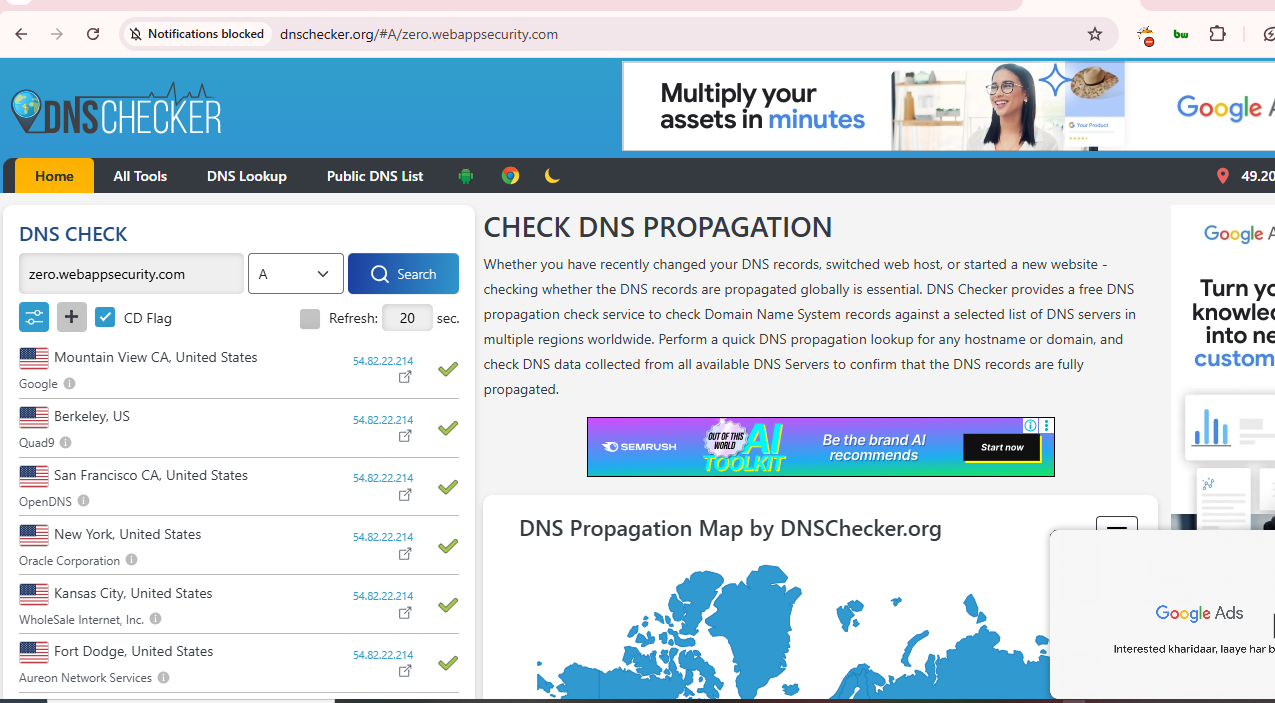https://dnschecker.org